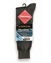 Thermax Sock Liners