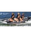 Whale Ride tow behind ...